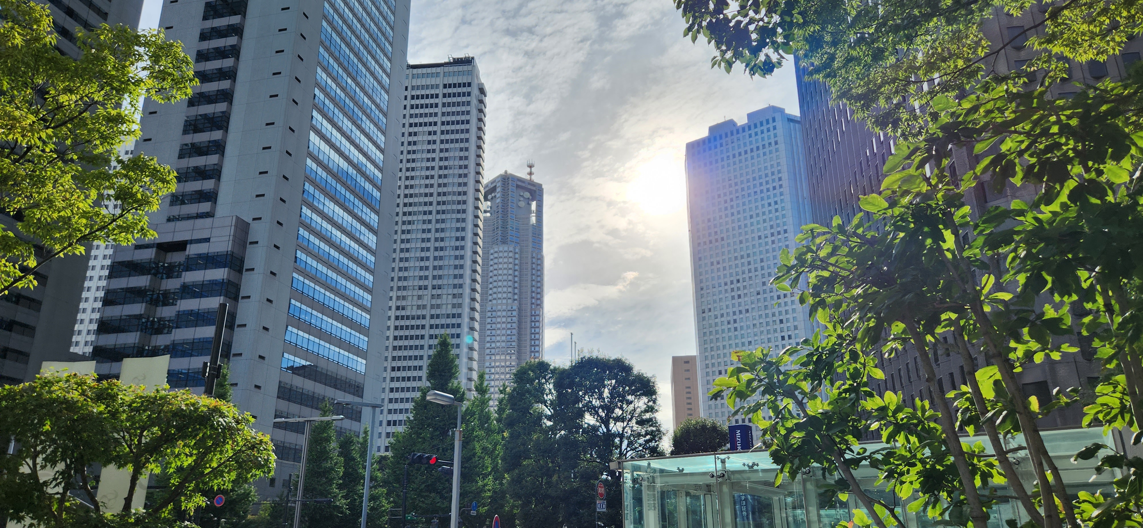 20230903_155528.jpg