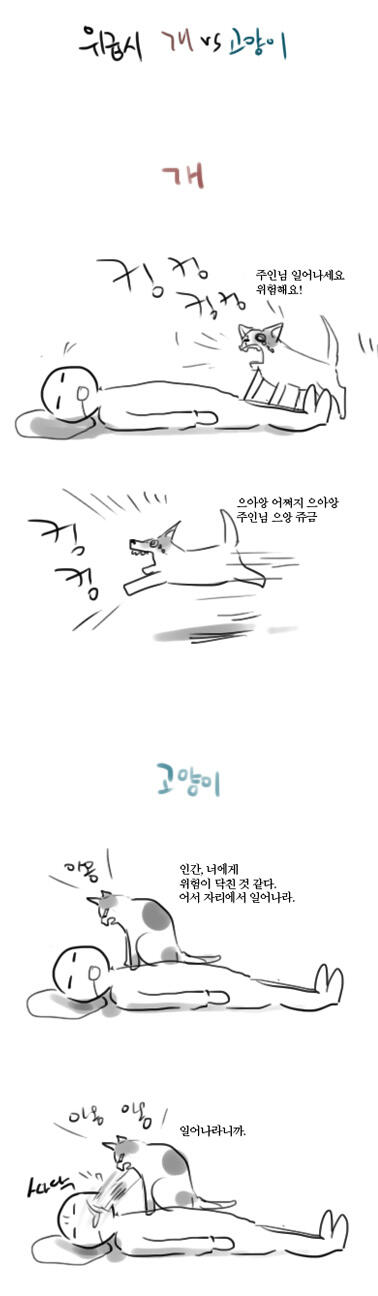 주인에게 위험이 닥쳤을 때.jpg