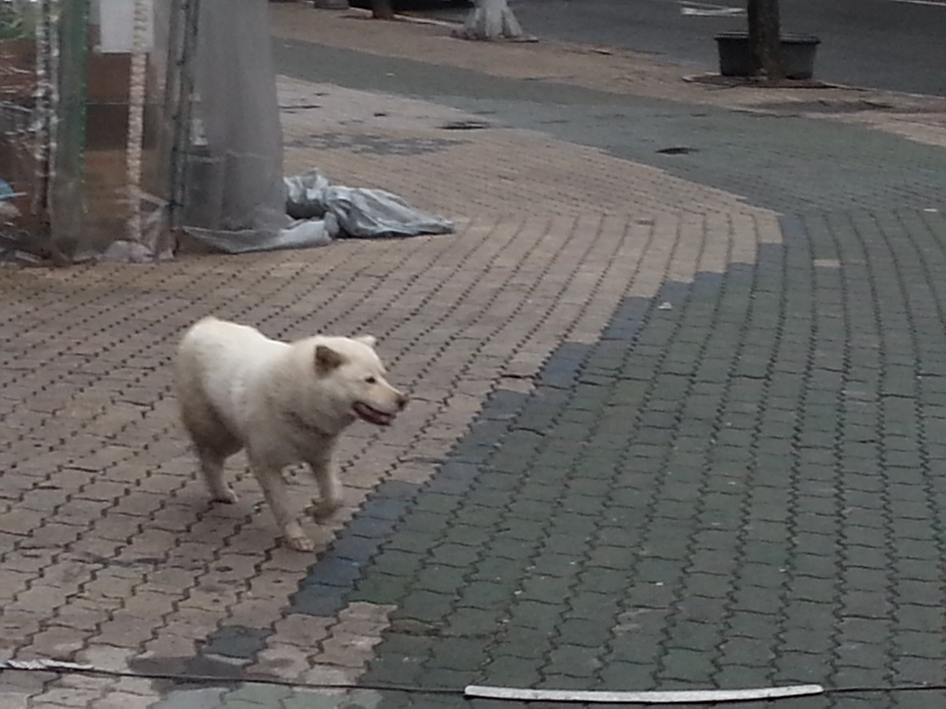 20130313_101148.jpg