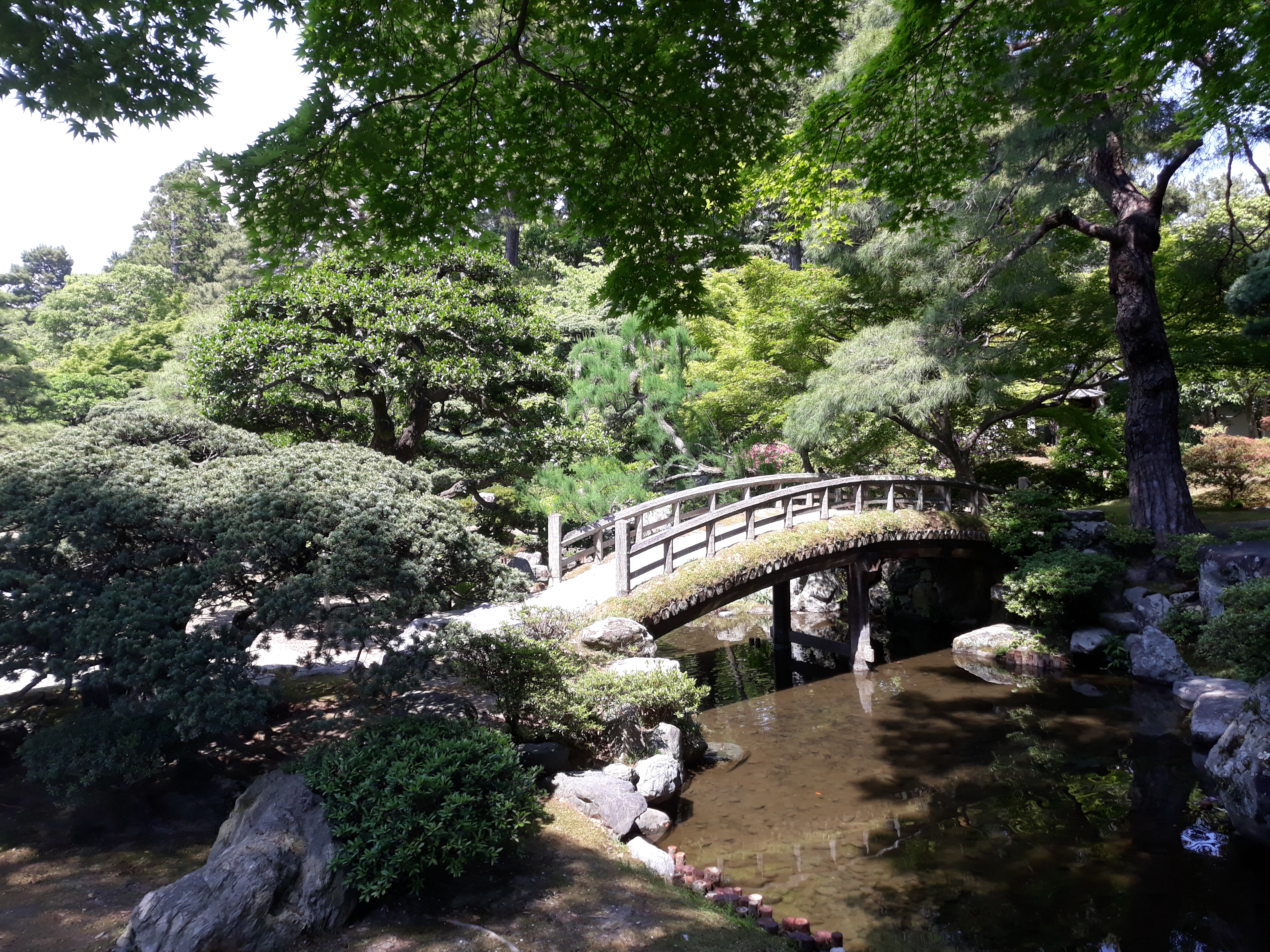20190512_134355.jpg